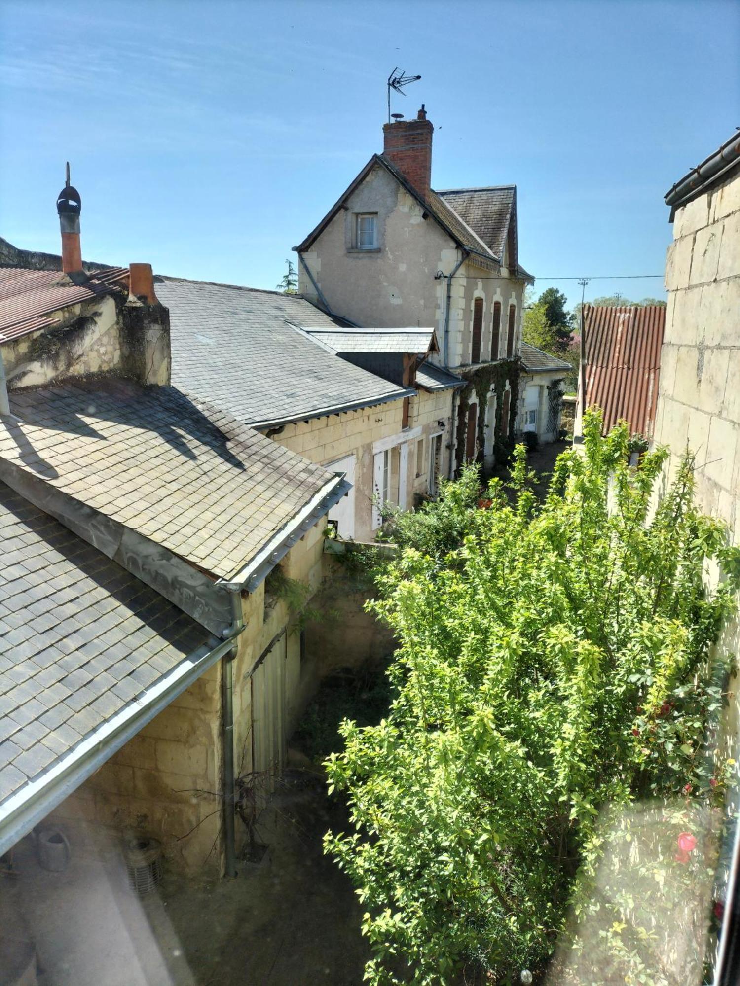 Brume De Loire Bourgueil Luaran gambar